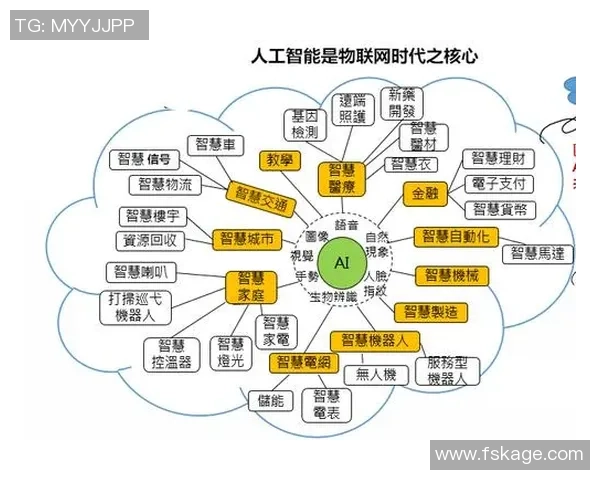 深圳网球队的转型之路与未来发展趋势深度解析